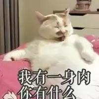 为什么泡面卷的，泡面卷是什么样子的（方便面为什么喜欢“卷发”）