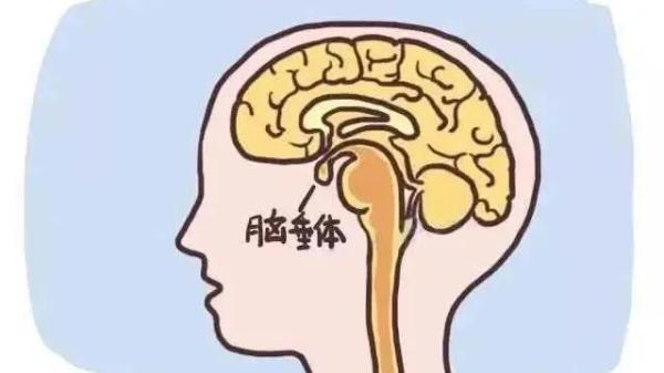 梦见自己是杀人犯，梦到杀人犯是什么意思（超前有了这种“能力”……）