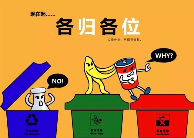 干垃圾桶是什么颜色的垃圾桶（看完这个立马学会）