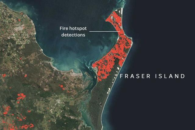 澳大利亚大火烧了多少面积，澳大利亚大火烧死了多少人（澳大利亚又烧了俩月了）