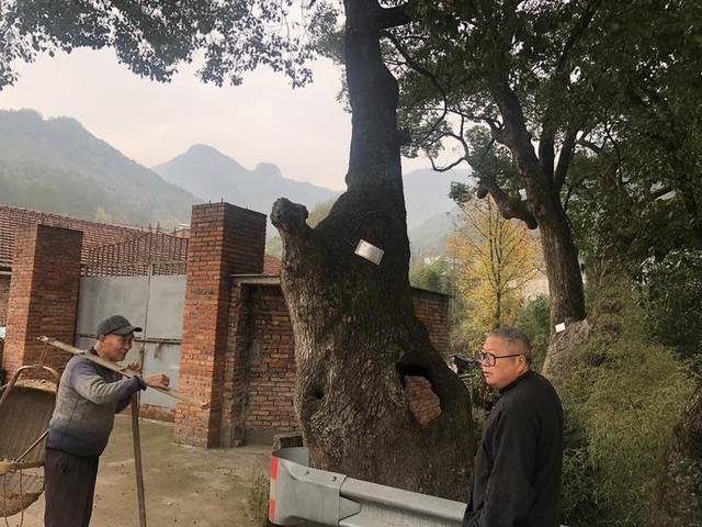 浙江永康胡公庙，永康“胡公大帝”出生地考