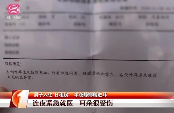 人睡着了蟑螂会咬人吗，如何让蟑螂不靠近床（更恐怖的是蟑螂有个不为人知的偏好……）