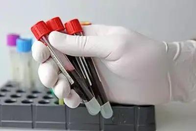 gsp是什么意思，兽药gsp是什么意思（汽车gsp是什么意思）