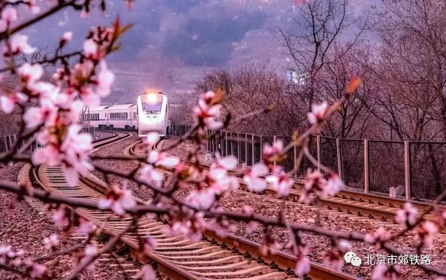 2022北京冬奥会期间S2线几点发车 北京s2线最新时刻表2022，2022北京冬奥会期间S2线几点发车（S2线延庆火车站乘车攻略来啦）