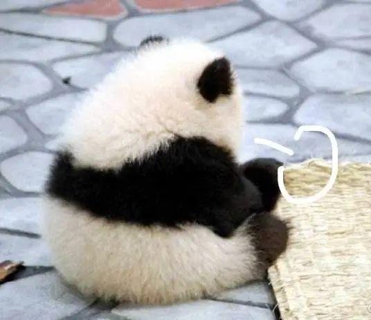 微信账单怎么查(删除的微信账单)