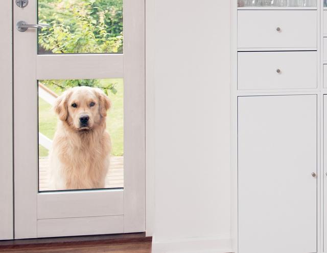 sternly的解释及sternly的例句，sternly什么意思中文（一课译词：闭门羹）