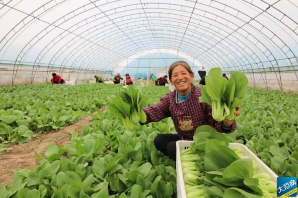 豫卫健用字，豫卫健用字正规吗（你认为哪个字最能代表2020年的河南）