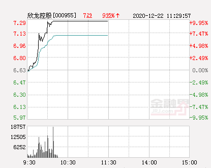 欣龙控股股票，欣龙控股上市股票代码是多少（快讯：欣龙控股涨停）