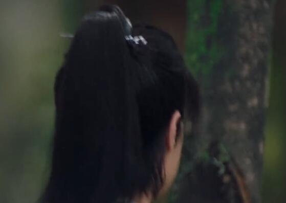 《有匪》的结局是什么意思，有匪的结局是好还是坏（有翡原著小说结局是什么揭秘）