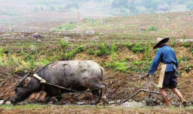 好汉不提当年勇下一句神回复，好汉不提当年勇 下一句（好汉要提当年“勇”）