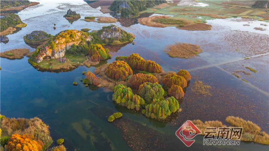 云南普者黑在哪里(云南普者黑旅游攻略必去景点)