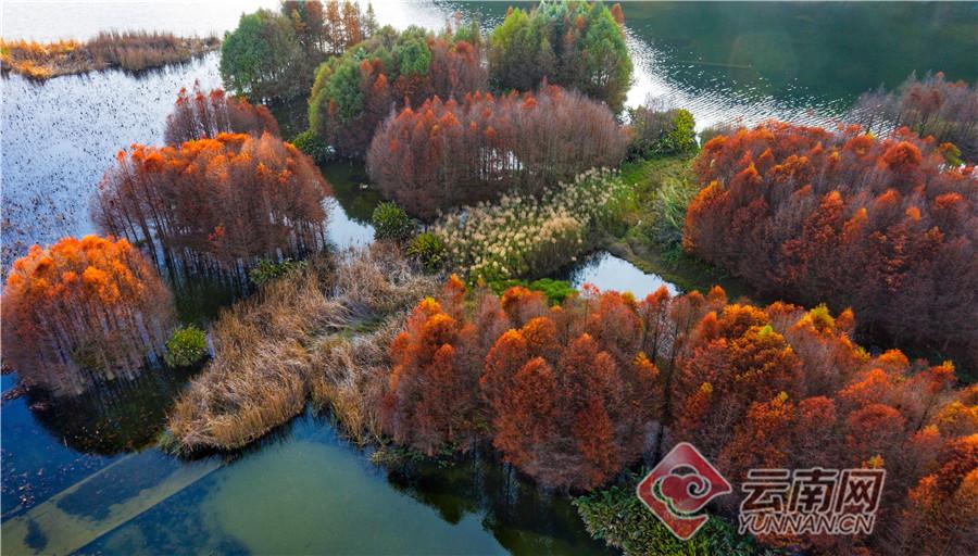云南普者黑在哪里(云南普者黑旅游攻略必去景点)