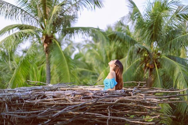 新鲜海草白贝汤的做法，白贝汤的做法大全（三亚自驾游5天跨越半座城）