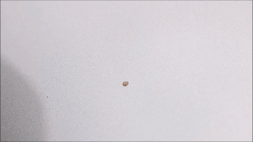 双面胶用什么方法能清除干净，双面胶如何快速清除（树胶、不干胶…甚至沥青）