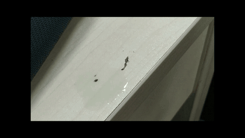 双面胶用什么方法能清除干净，双面胶如何快速清除（树胶、不干胶…甚至沥青）