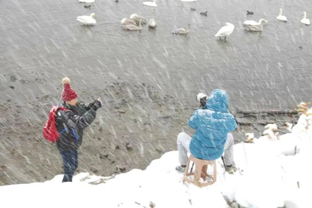 一组纯净的草莓图片，清新的草莓图片（玩摄影\u0026采草莓——大雪纷飞中的缤纷冬日）