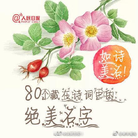 藏在诗中的古风名字，藏在诗中的古风名字男孩（80个藏在诗词中的绝美名字）