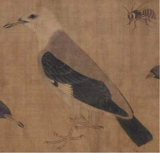 《龙凤艺术》，龙飞凤舞是什么艺术（浅谈中国花鸟画蕴含的生命精神）