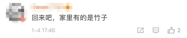 2020吉利好听的服装店名大全，吉利的服装店名字（养不起了……疫情期间缺钱）