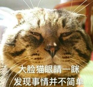 风力发电厂造在海上好还是陆上好，海上风电和陆上风电的区别（海上风电与陆上风电有何区别）