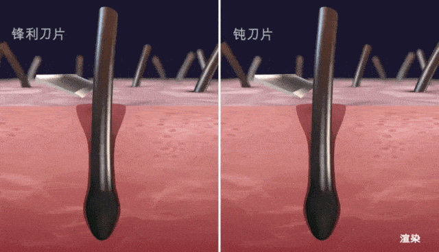 教你如何选购剃须刀剃须刀如何选择，剃须刀怎么选好（从选购一把剃须刀开始）