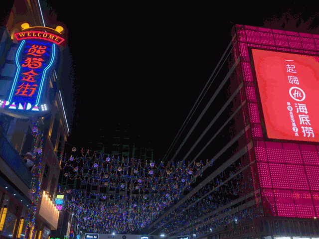 池奈网名，池奈微信昵称（首个假日熊猫购物公园于兰州盛大开业）