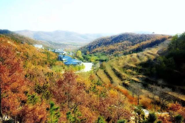 一组纯净的草莓图片，清新的草莓图片（玩摄影\u0026采草莓——大雪纷飞中的缤纷冬日）