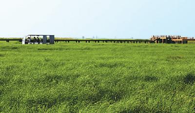 县五笔怎么打，户的五笔怎么打字（鄱阳的鄱）