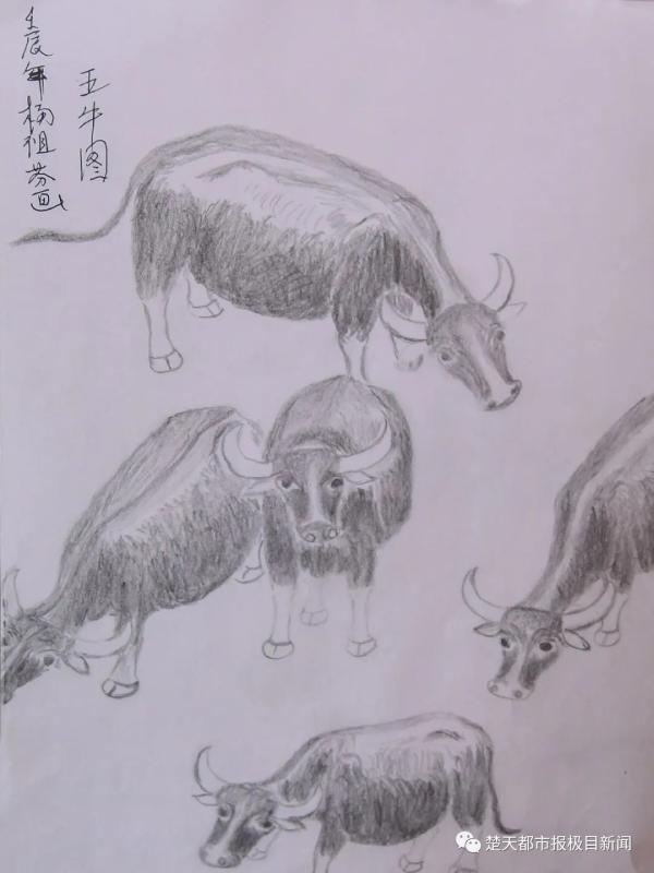 简笔画香烟头的画法，简笔画香烟头的画法大全（身患重病后，一个心愿让人泪目）