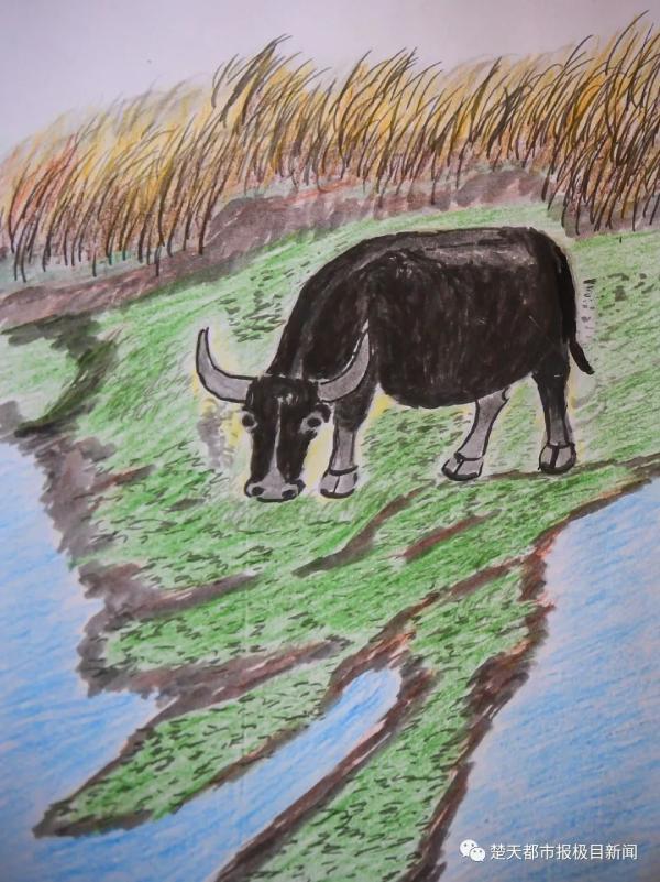 简笔画香烟头的画法，简笔画香烟头的画法大全（身患重病后，一个心愿让人泪目）