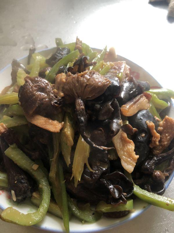 茶树菇怎么吃，茶树菇怎么种植（#福气年夜菜#杂炒茶树菇）