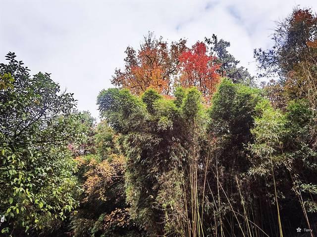 上海到景德镇多少距离，上海到景德镇多少距离高铁（我在China看china）