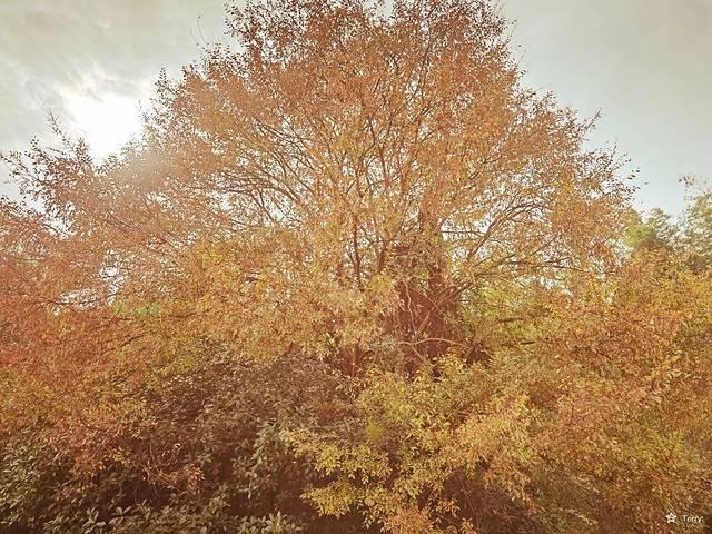 上海到景德镇多少距离，上海到景德镇多少距离高铁（我在China看china）