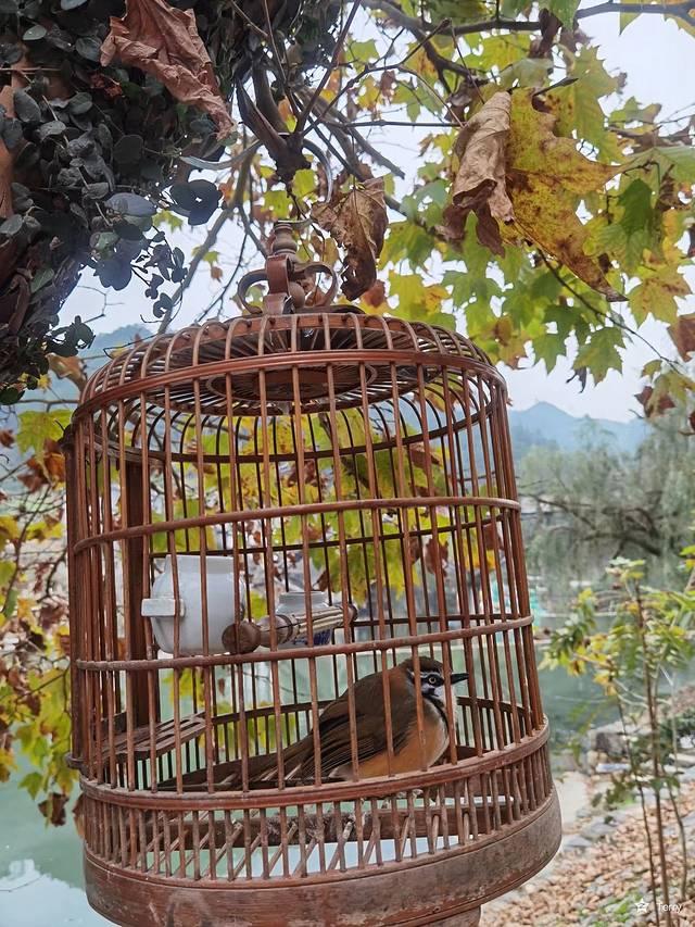 上海到景德镇多少距离，上海到景德镇多少距离高铁（我在China看china）