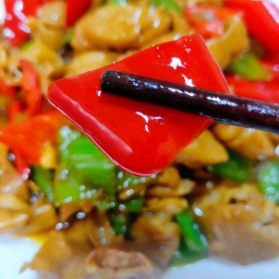 尖椒溜肥肠的家常做法，零厨艺家常菜❗❗超级下饭的尖椒溜肥肠