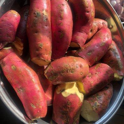 番薯干的做法，蕃薯干的制作方法（好食到停不到口的甜Q番薯干）