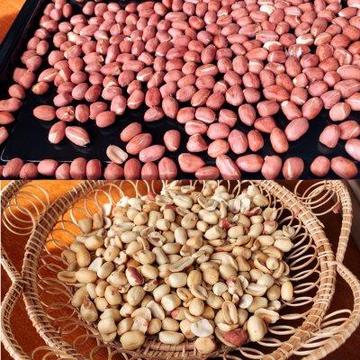 花生芝麻糖做法，花生芝麻糖做法窍门（过年必不可少：手工花生芝麻糖）