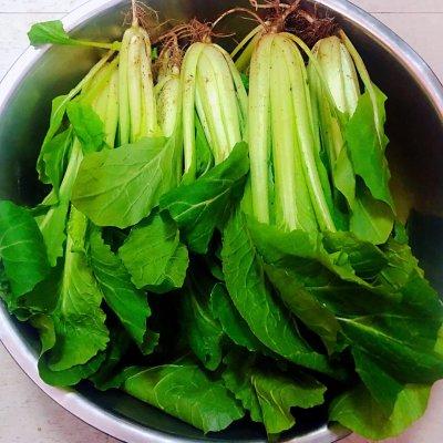 小白菜怎么做好吃，好吃下饭的#福气年夜菜#蒜蓉小白菜几分钟就学到手