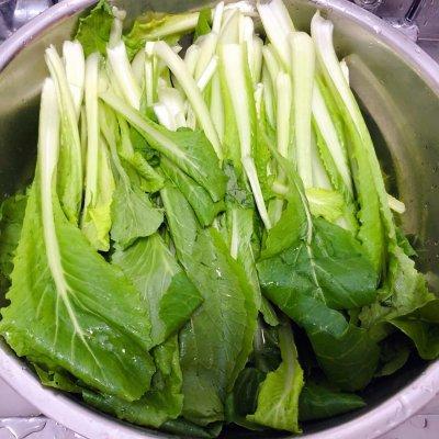 小白菜怎么做好吃，好吃下饭的#福气年夜菜#蒜蓉小白菜几分钟就学到手