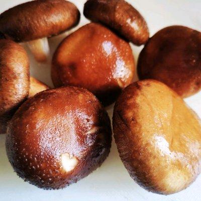 炒丸子怎么做，怎样做炒丸子（学会这样做蘑菇炒猪肉丸秒变大厨）