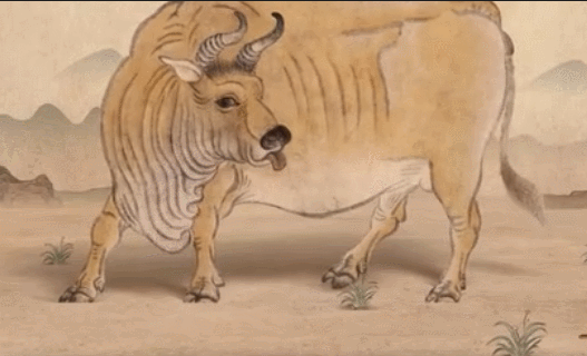 527_320gif 动态图 动图