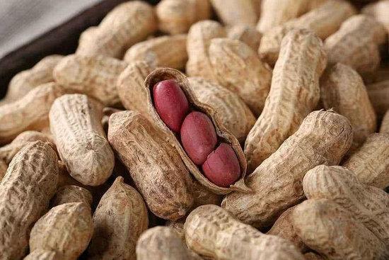 花生可以治胃病吗，胃病能吃花生吗（健脾养胃促进血液凝聚）