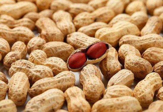 花生可以治胃病吗，胃病能吃花生吗（健脾养胃促进血液凝聚）