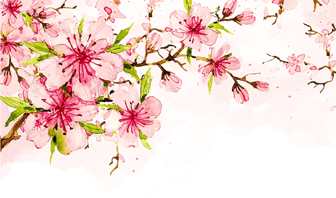 西安花鸟市场(北京最大的花鸟市场)