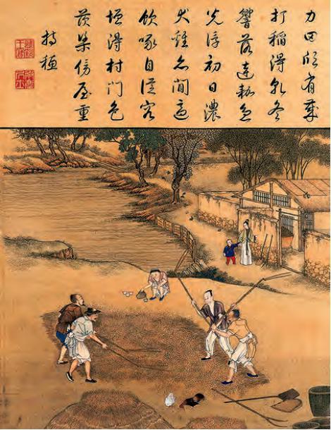 麦穗有什么寓意，麦穗寓意什么意思（聆听汉字之美：《花草字传》）
