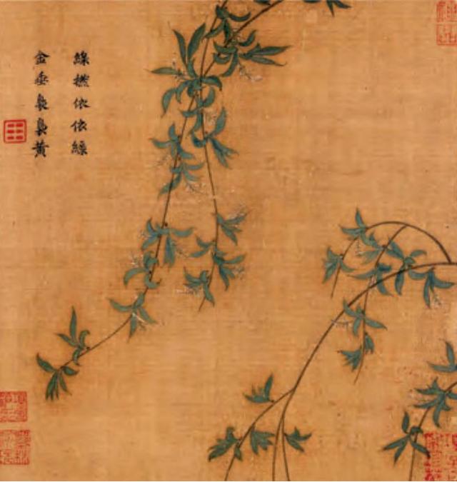 麦穗有什么寓意，麦穗寓意什么意思（聆听汉字之美：《花草字传》）