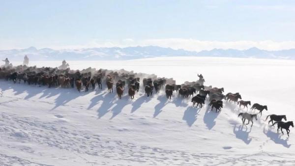 段字五笔怎么打字，段字五笔怎么打（“策马女副县长”又回归了）