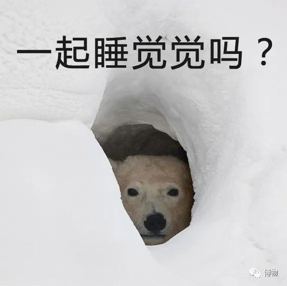 有毒的蝴蝶是啥，有毒的蝴蝶是啥品种（为什么冬天看不到蝴蝶）