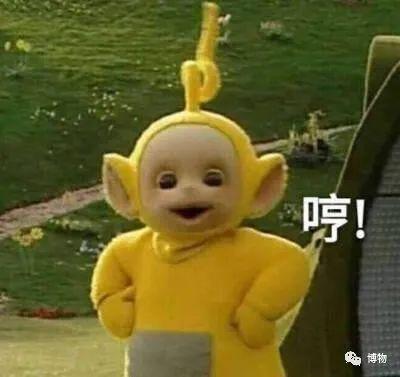 有毒的蝴蝶是啥，有毒的蝴蝶是啥品种（为什么冬天看不到蝴蝶）