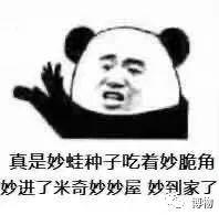 有毒的蝴蝶是啥，有毒的蝴蝶是啥品种（为什么冬天看不到蝴蝶）